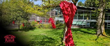 FNHL Statement on “Red Dress Day”